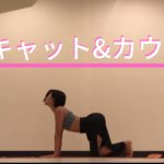 キャットアンドカウ やり方