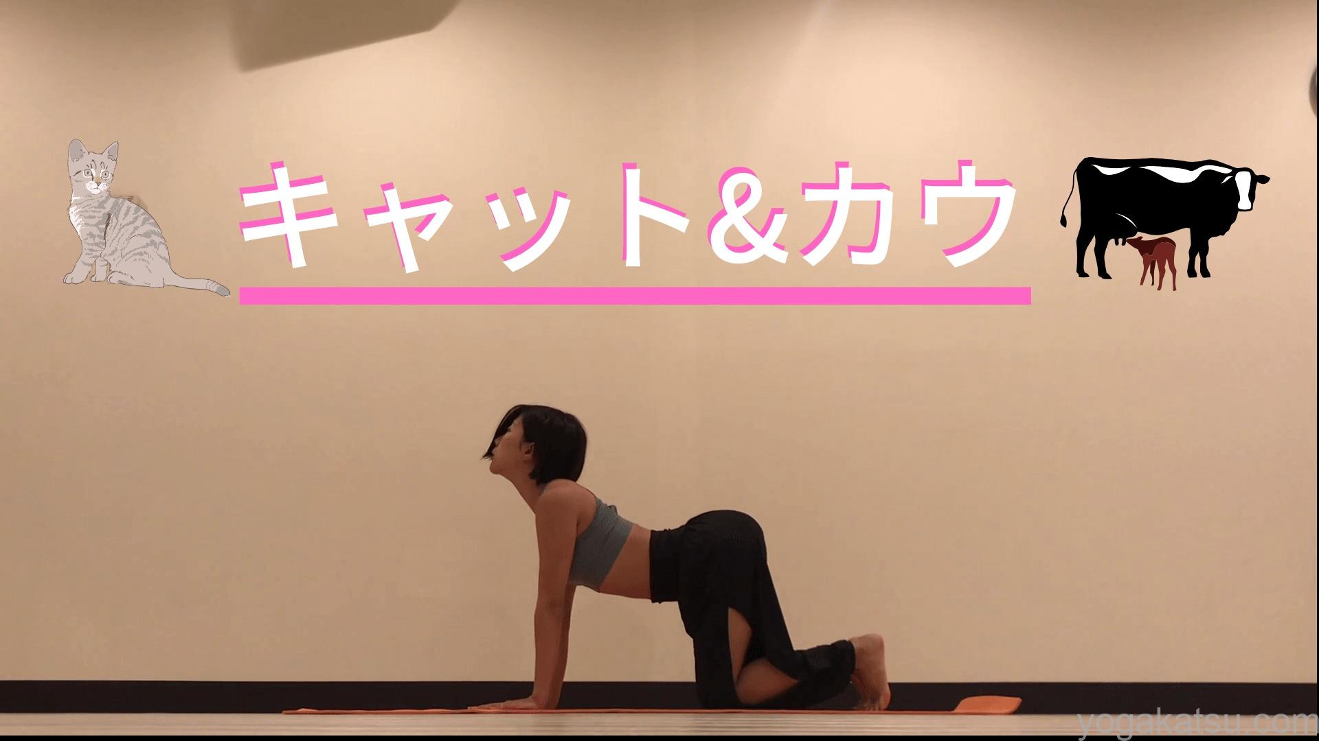 キャットアンドカウ やり方
