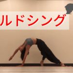 ワイルドシング ヨガ やり方
